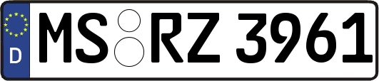 MS-RZ3961