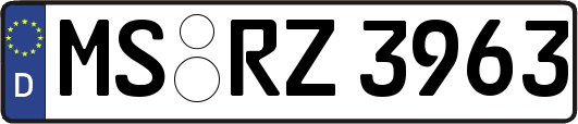 MS-RZ3963