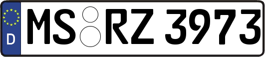 MS-RZ3973