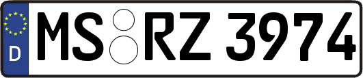 MS-RZ3974