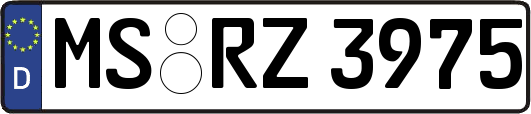 MS-RZ3975