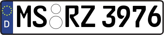 MS-RZ3976