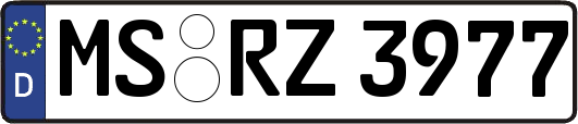 MS-RZ3977