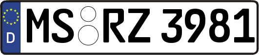 MS-RZ3981