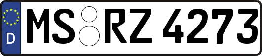 MS-RZ4273