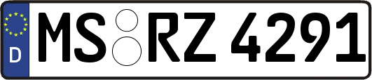 MS-RZ4291