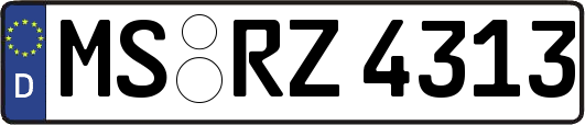 MS-RZ4313