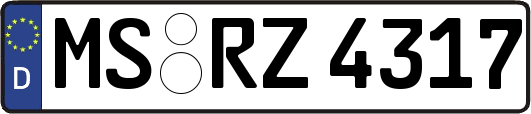 MS-RZ4317