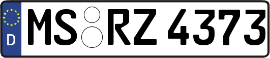 MS-RZ4373