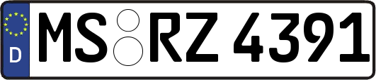 MS-RZ4391