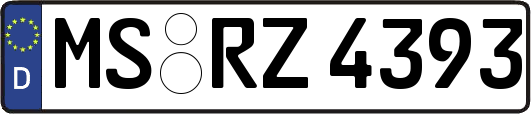 MS-RZ4393