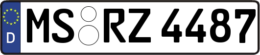 MS-RZ4487