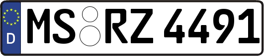 MS-RZ4491