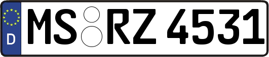 MS-RZ4531