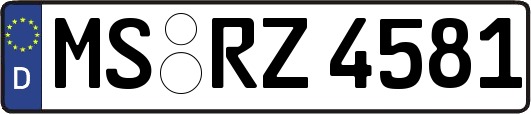 MS-RZ4581