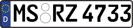 MS-RZ4733