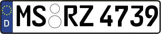 MS-RZ4739