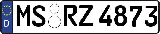 MS-RZ4873