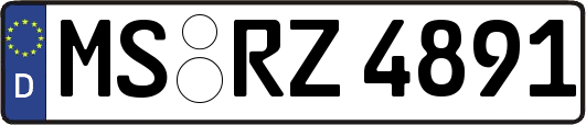 MS-RZ4891