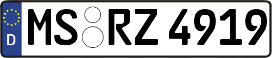 MS-RZ4919