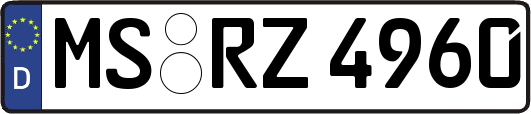 MS-RZ4960
