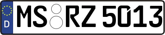 MS-RZ5013