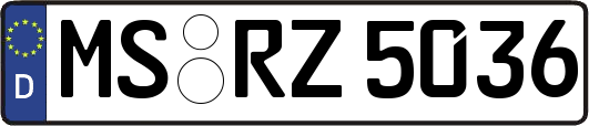 MS-RZ5036
