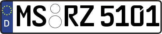 MS-RZ5101