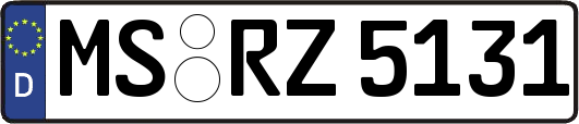MS-RZ5131
