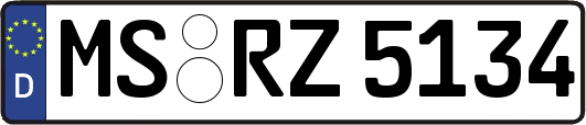 MS-RZ5134