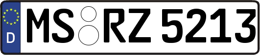 MS-RZ5213