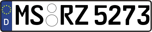 MS-RZ5273