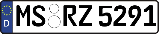 MS-RZ5291