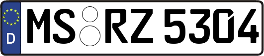MS-RZ5304