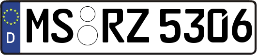 MS-RZ5306