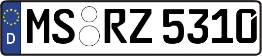 MS-RZ5310