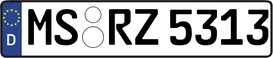 MS-RZ5313