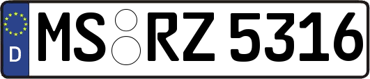 MS-RZ5316