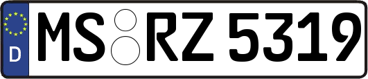 MS-RZ5319
