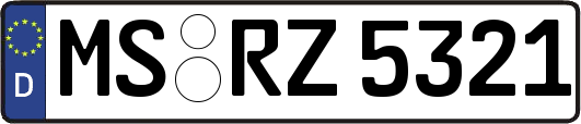 MS-RZ5321