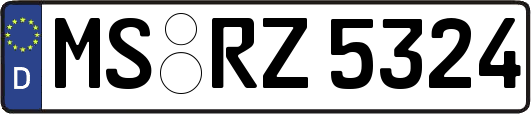 MS-RZ5324