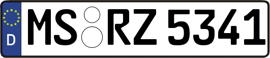 MS-RZ5341