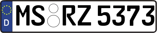 MS-RZ5373