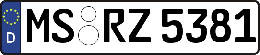 MS-RZ5381