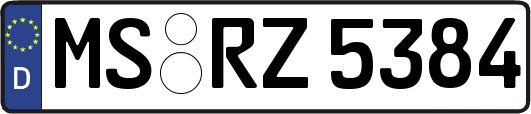 MS-RZ5384
