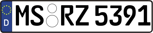 MS-RZ5391