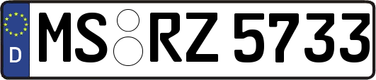 MS-RZ5733