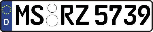 MS-RZ5739