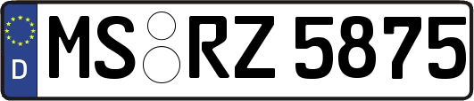 MS-RZ5875