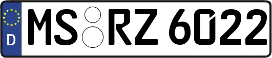 MS-RZ6022